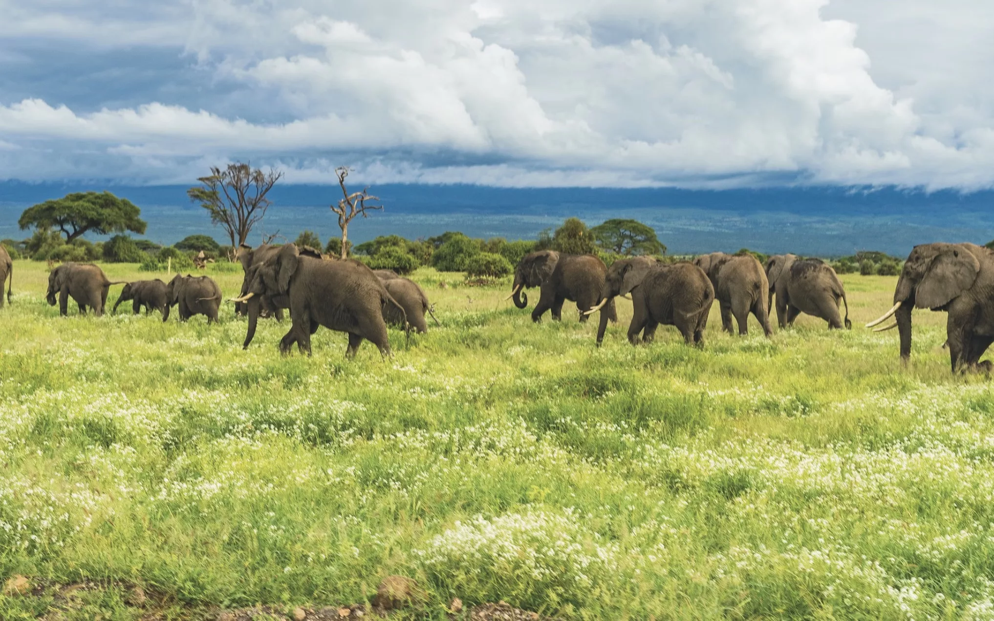 African Travel