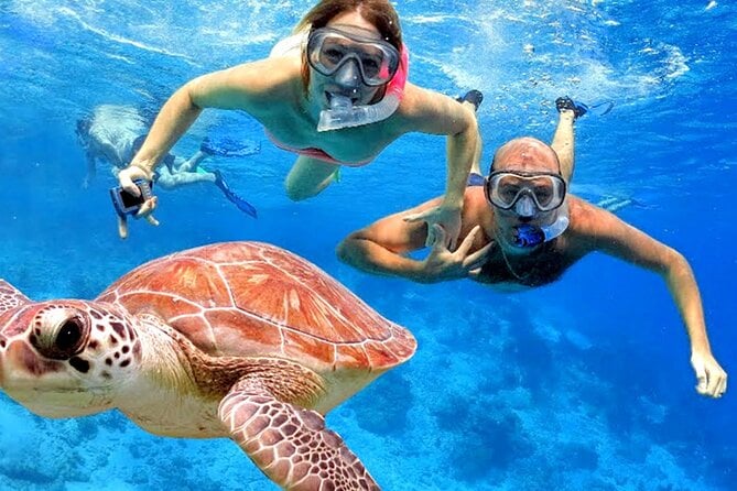 Colorful Coral Reefs