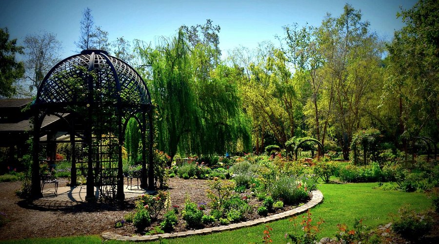 Descanso Gardens Flowers