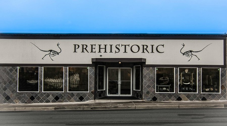 Prehistoric Rocks Store