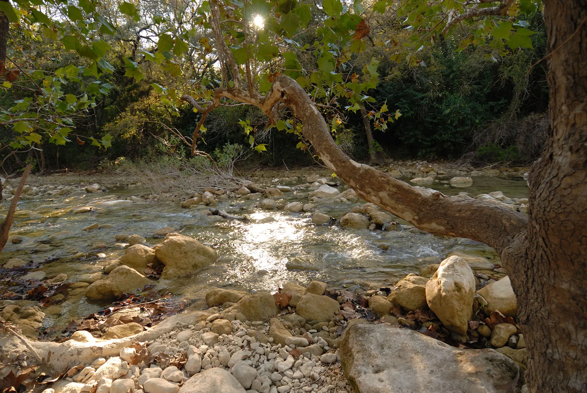 Purgatory Creek Trail