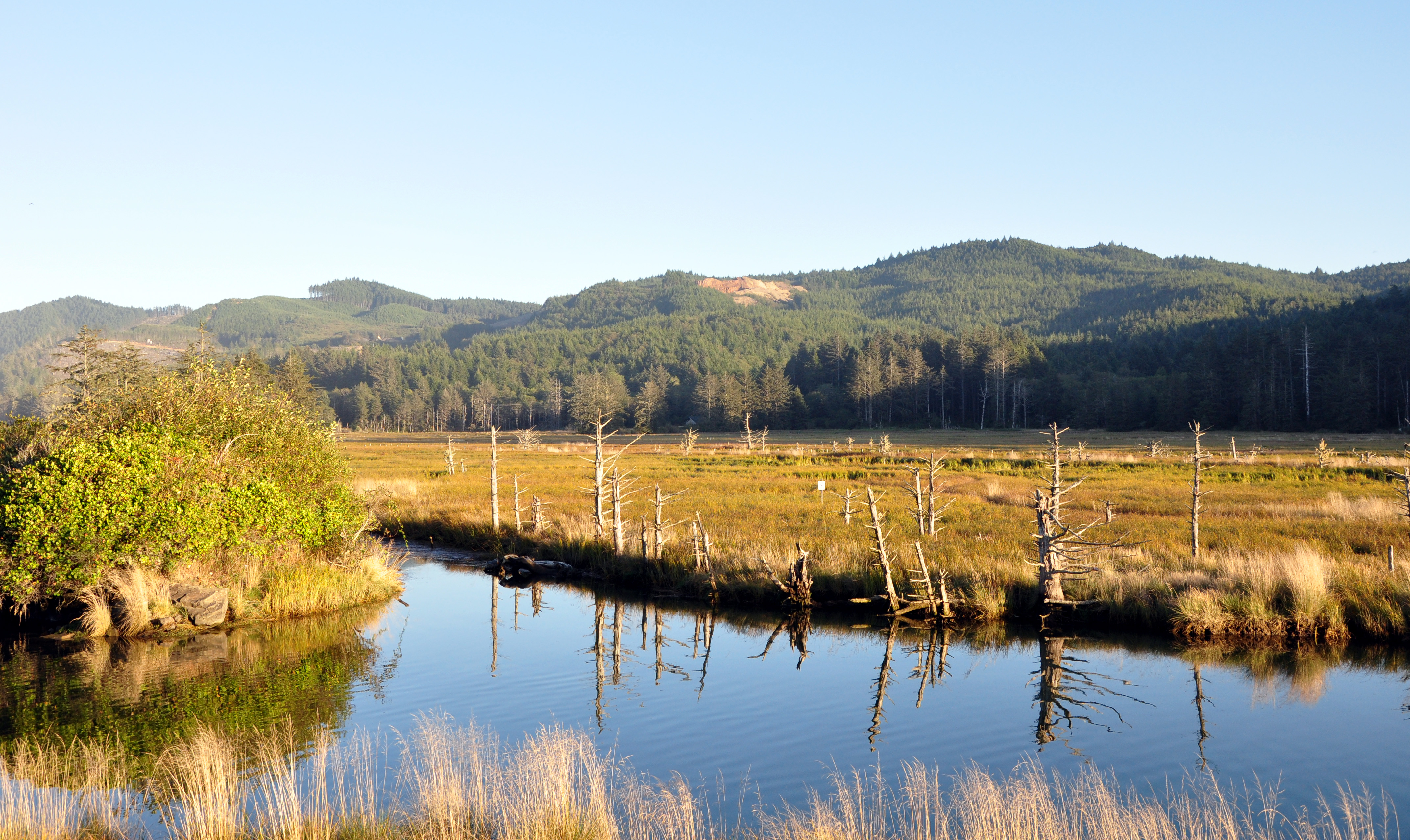 Siletz Bay Wildlife Refuge
