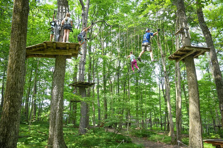 Aerial Adventure Park Challenges