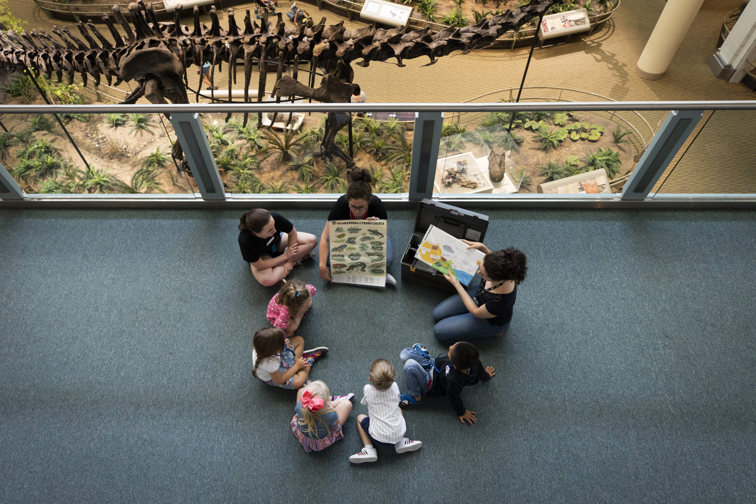 Dinosaur Exhibits