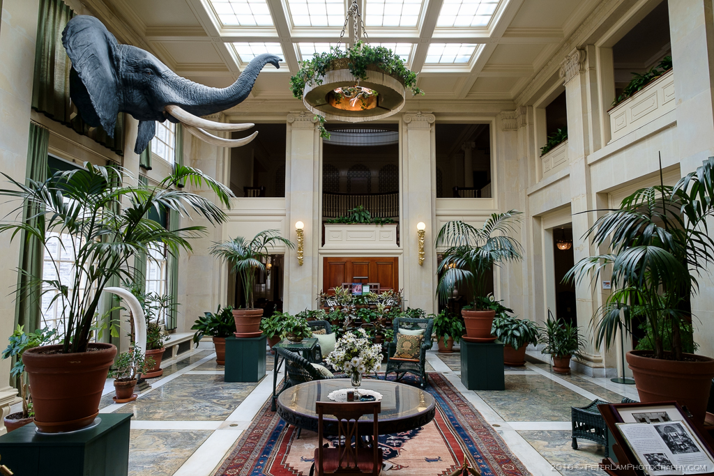 George Eastman Museum Interior