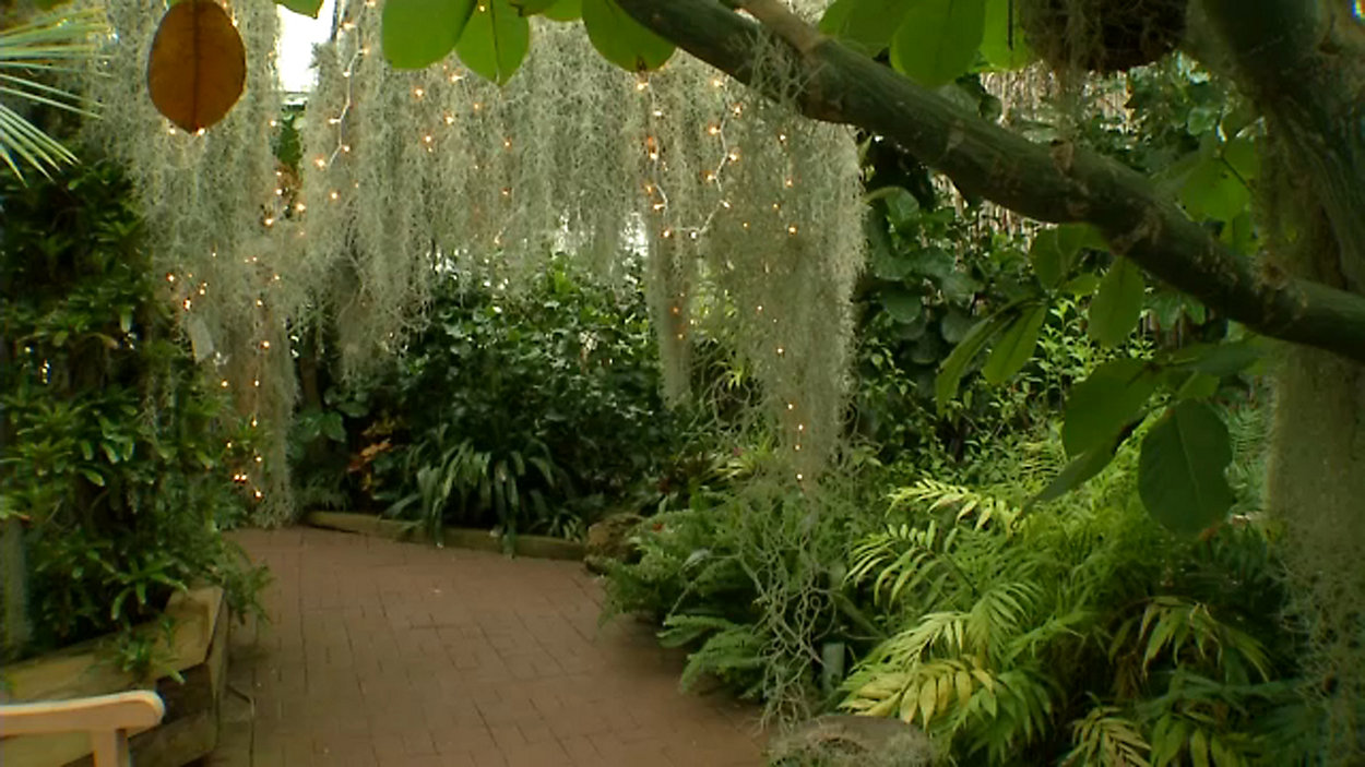 Lamberton Conservatory Exterior