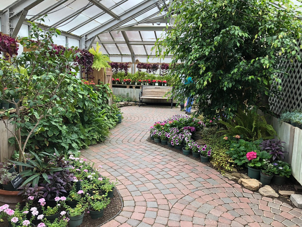 Lamberton Conservatory Interior