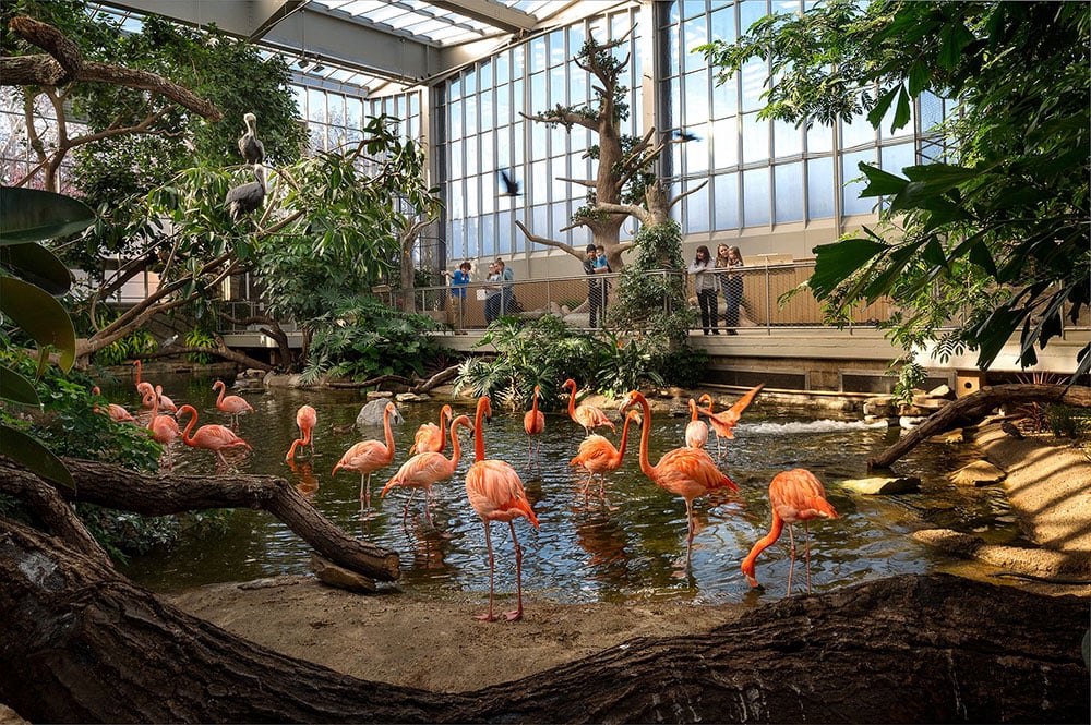 National Aviary
