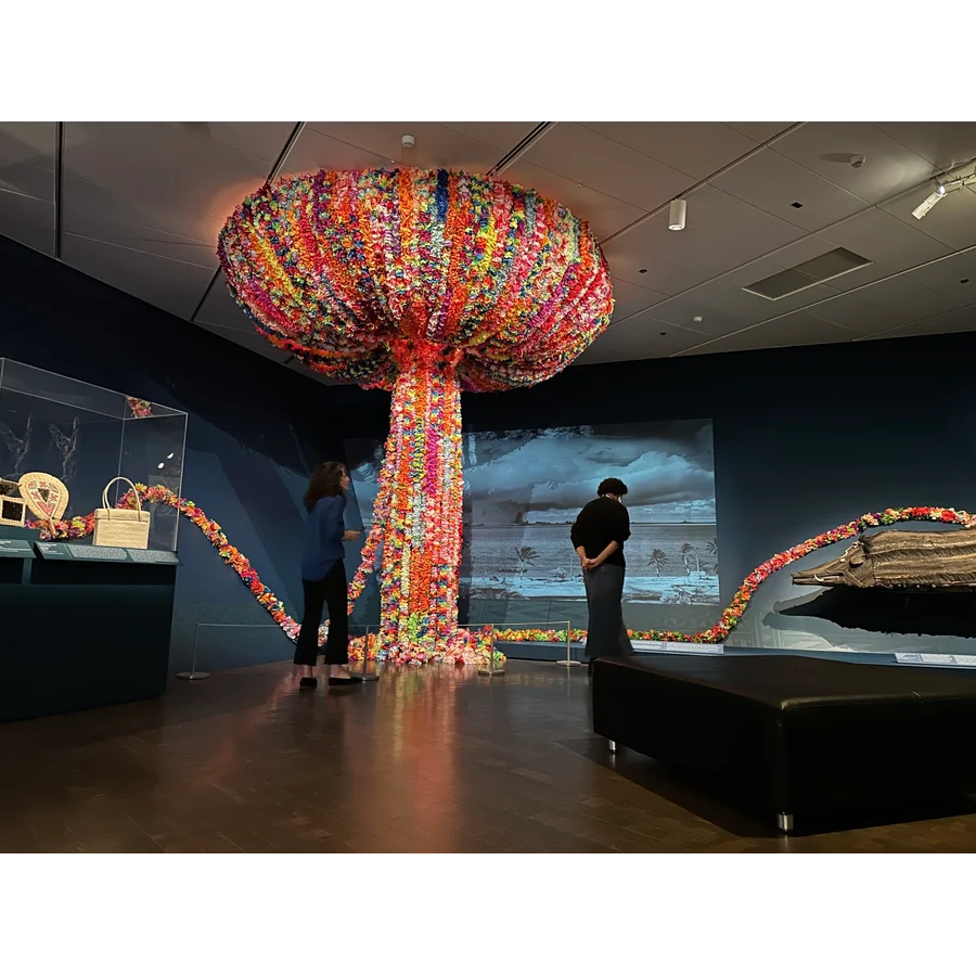 Museum Art Collection