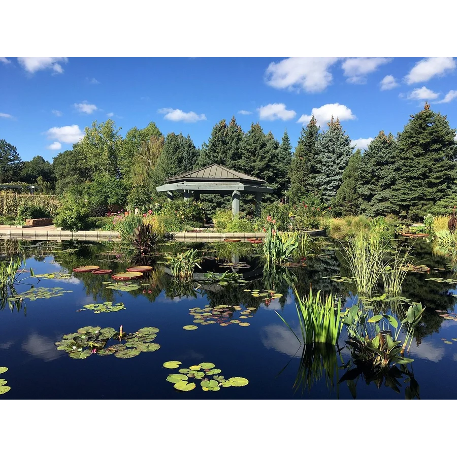 Botanic Gardens Landscape