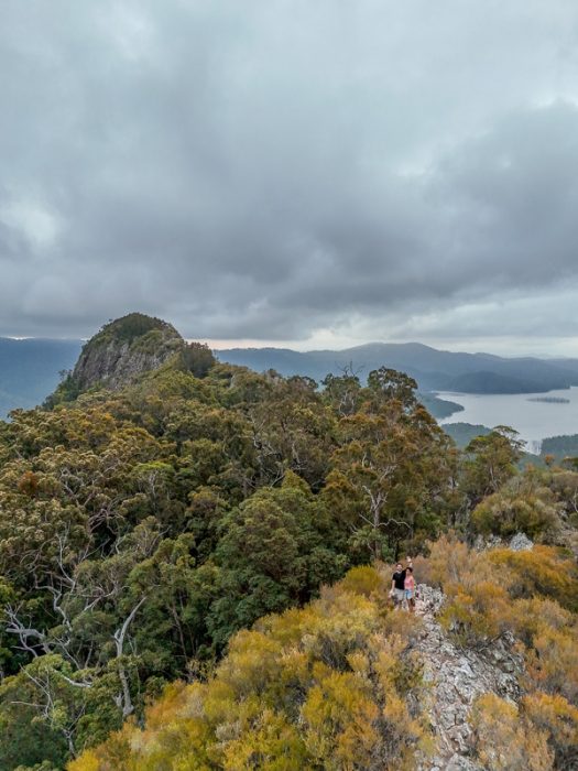 Springbrook National Park Hike