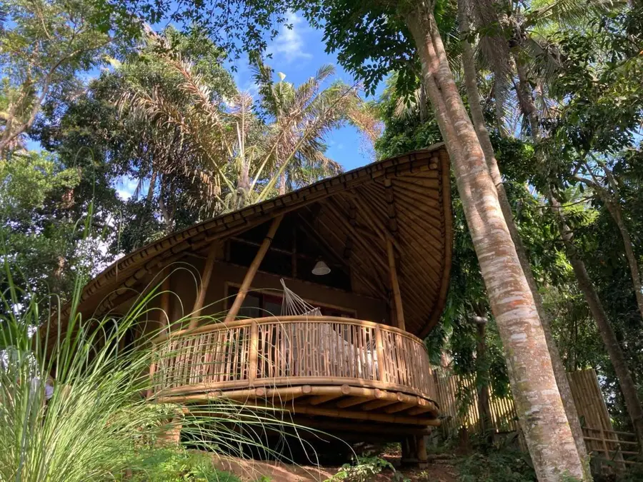 Bamboo Turtles Ecolodge garden