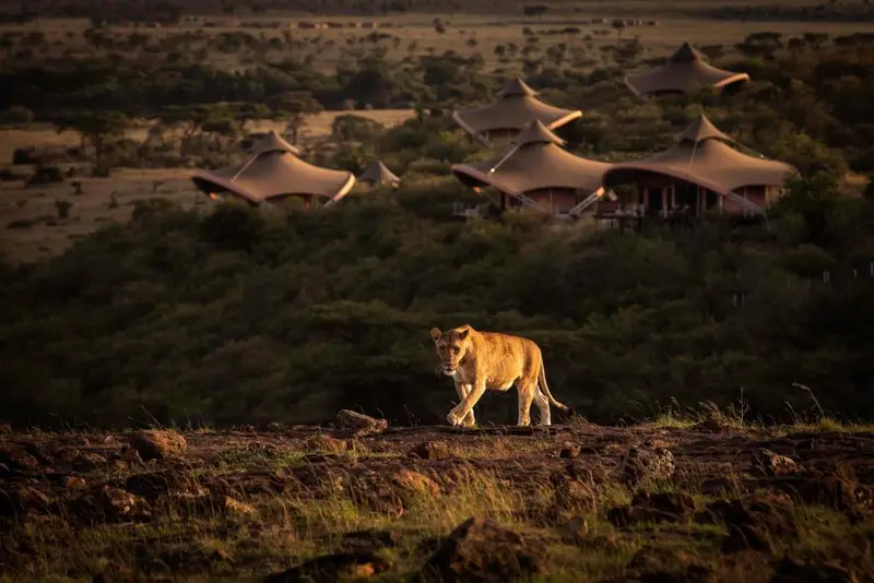 Mahali Mzuri tented suite interior