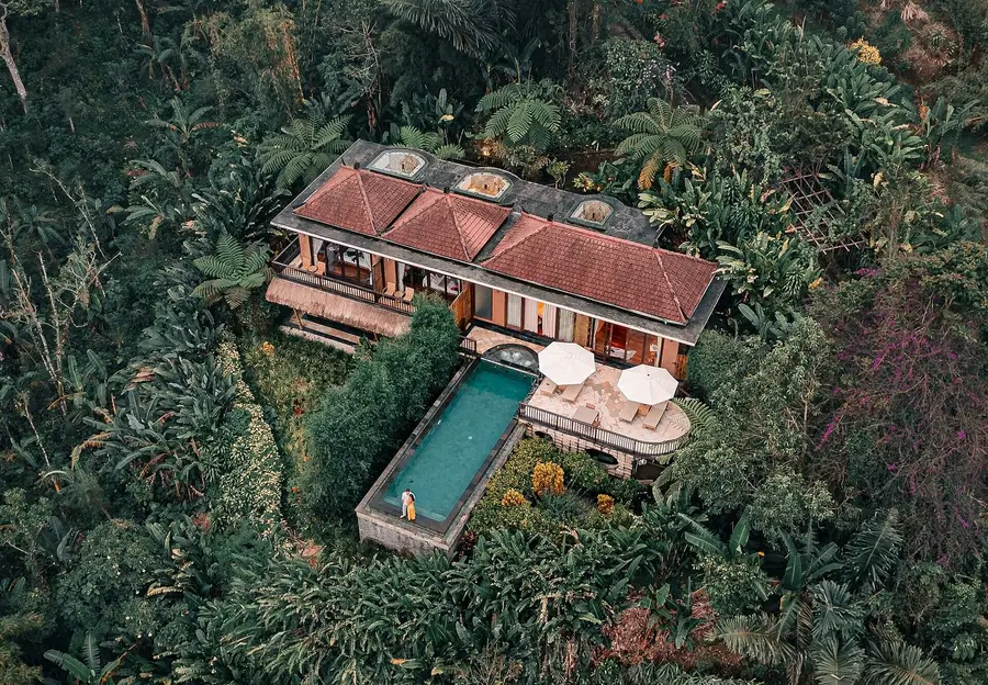 Munduk Moding Plantation coffee trees