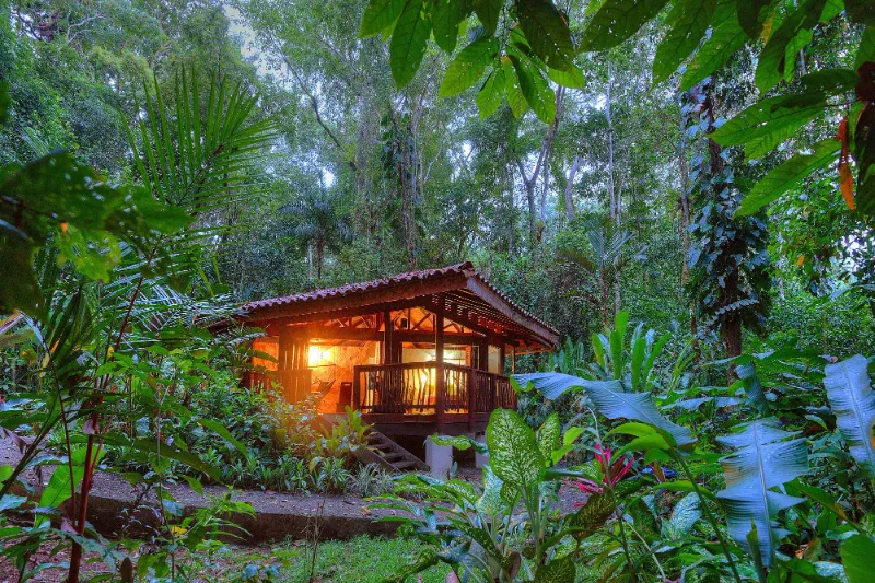 Playa Nicuesa Rainforest Lodge