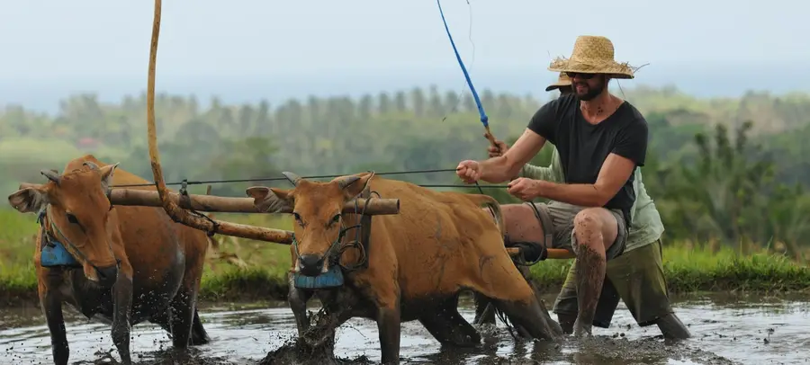 Puri Dajuma beach cottage