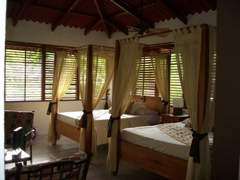 SCP Corcovado Wildlife