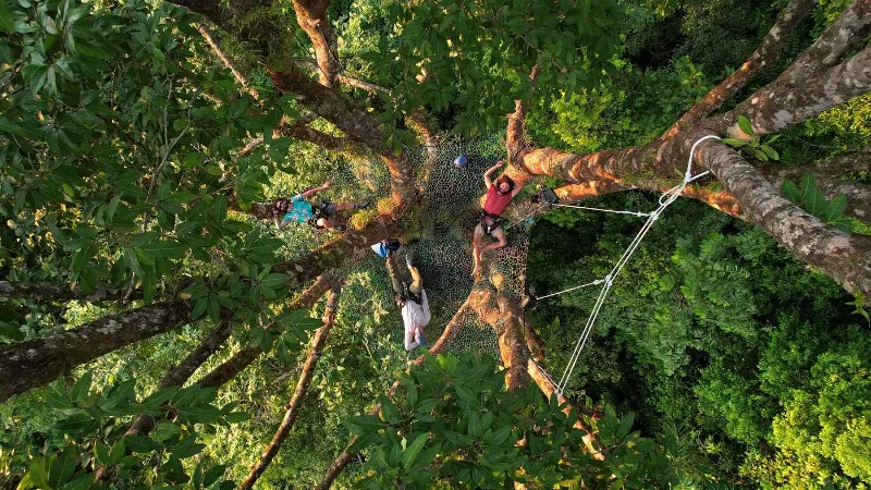 SCP Corcovado Nature