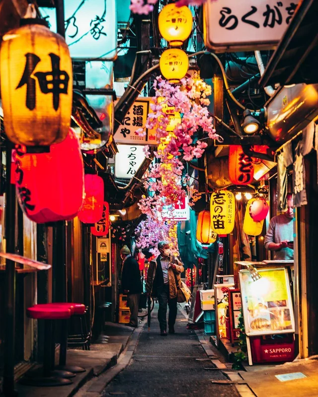 Shinjuku District View