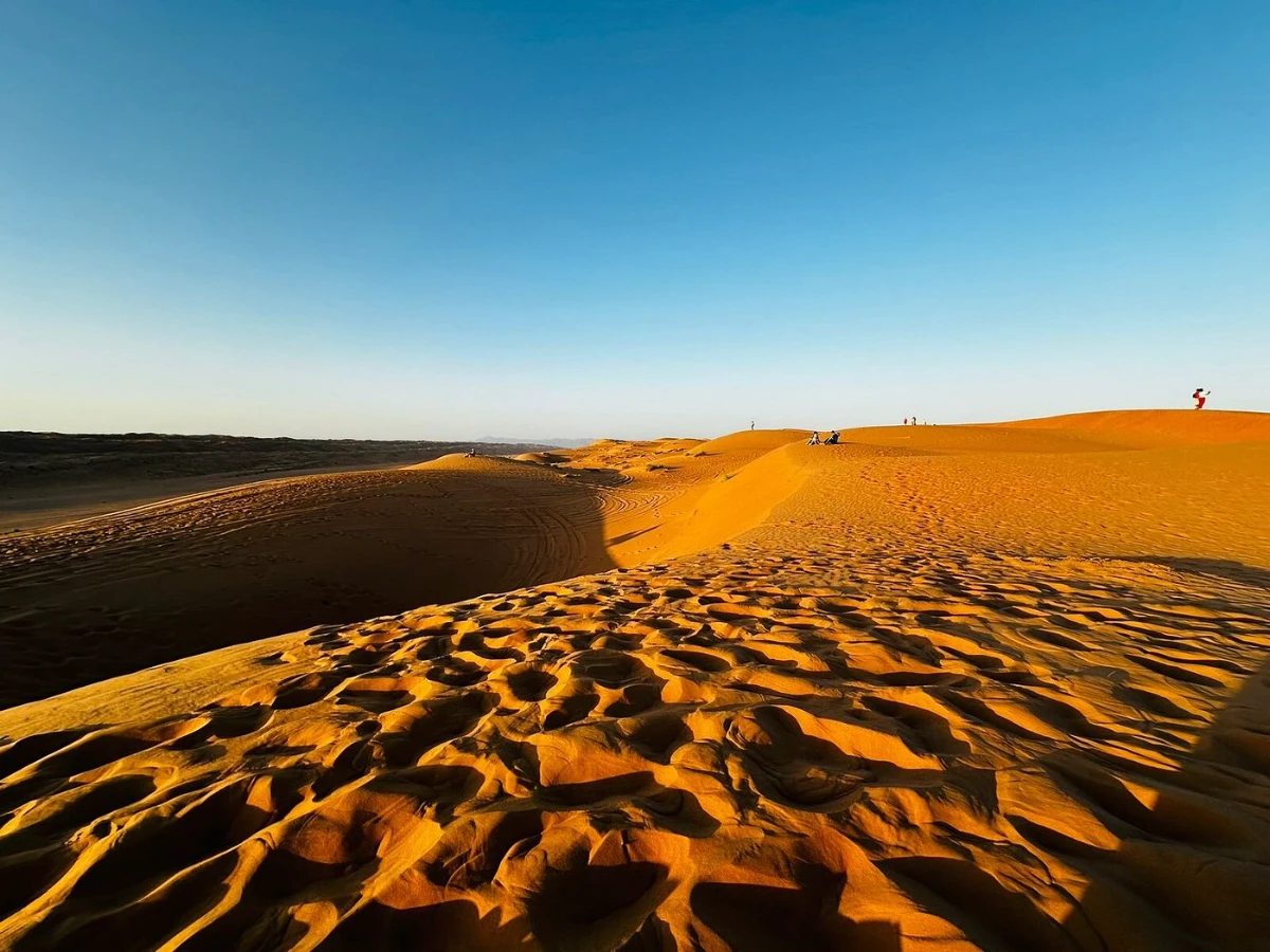 Desert Nights Camp Evening