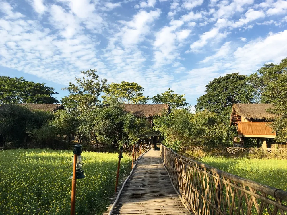 Diphlu River Lodge Assam