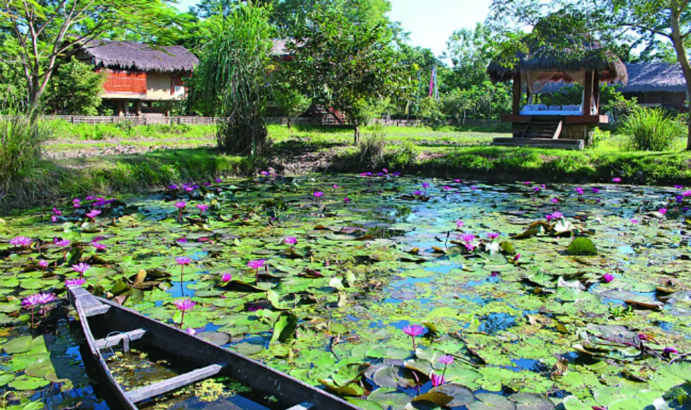 Diphlu River Lodge Riverside