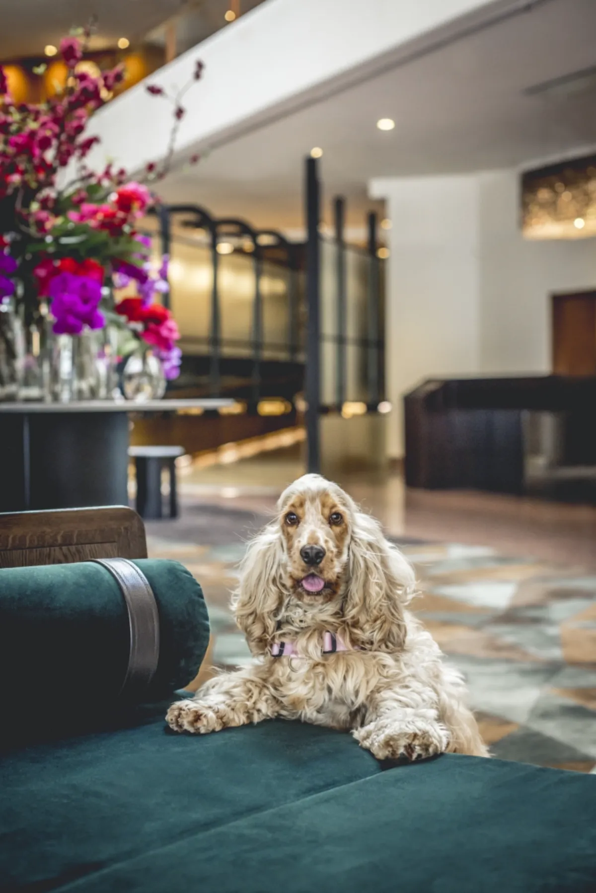 Four Seasons Hotel Sydney Luxury Room