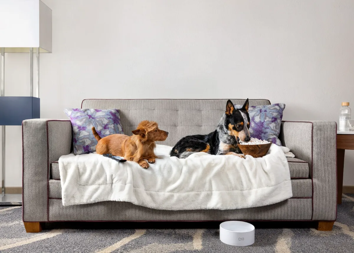 Homewood Suites New York Kitchenette