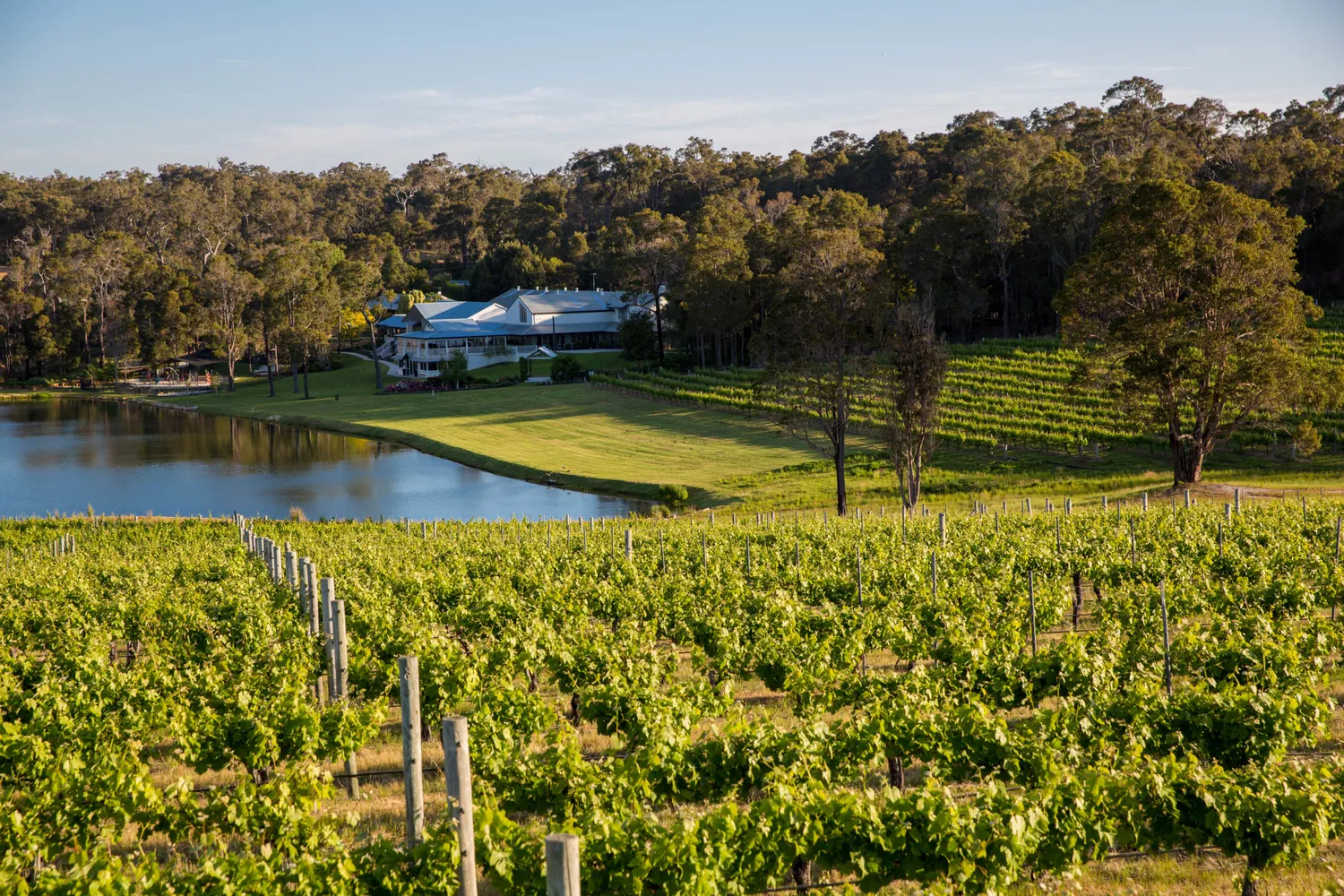 Margaret River Vineyards and Coast