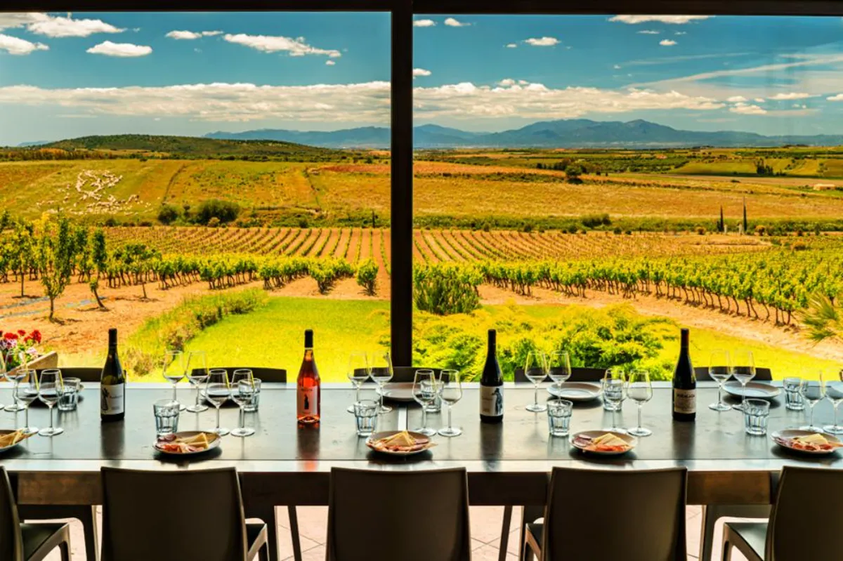 McLaren Vale Tasting