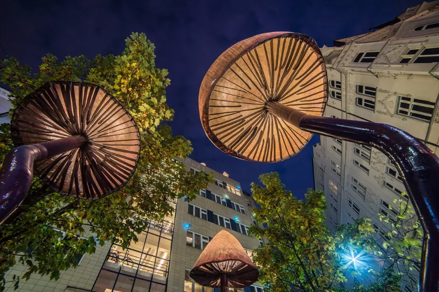 Mosaic House Design Hotel Exterior