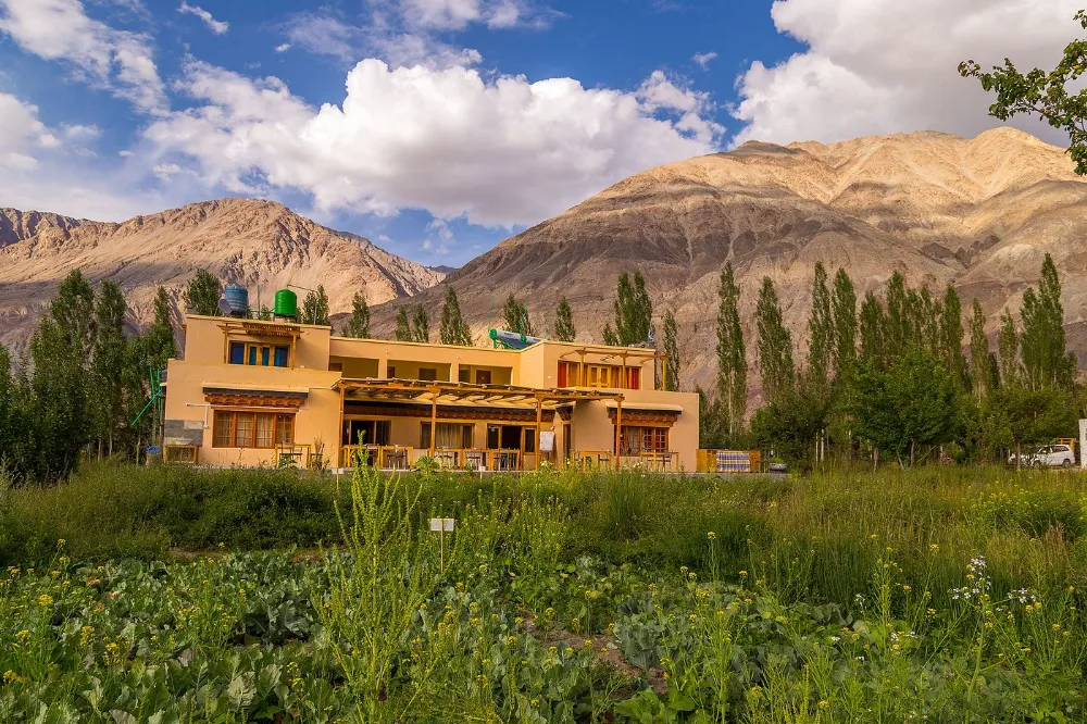Nubra Ecolodge Ladakh