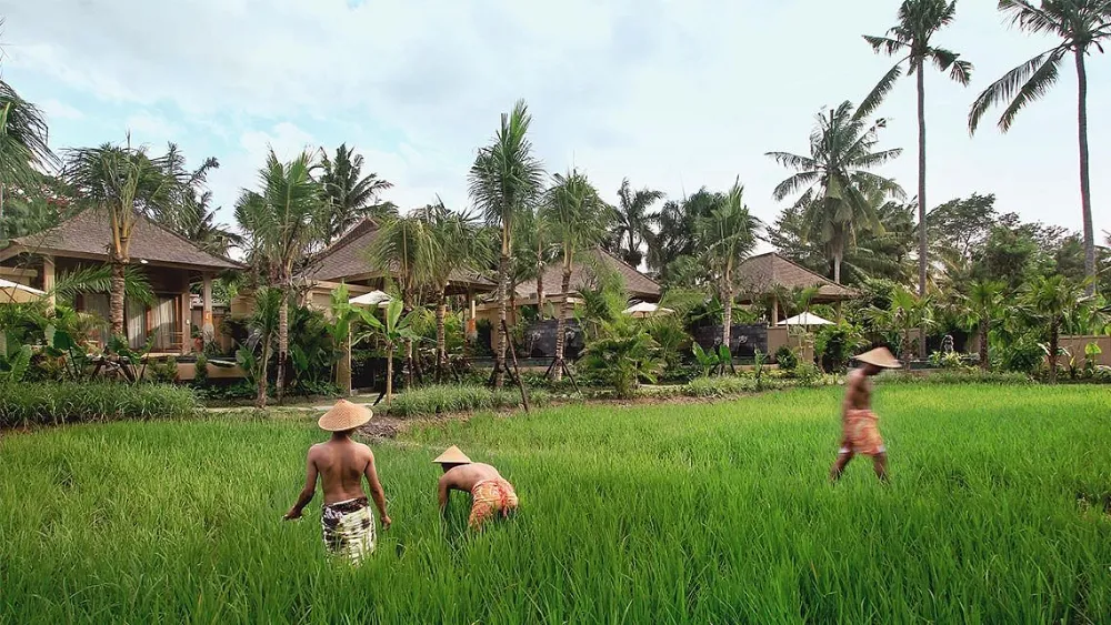 Sankara Ubud Resort Sustainable