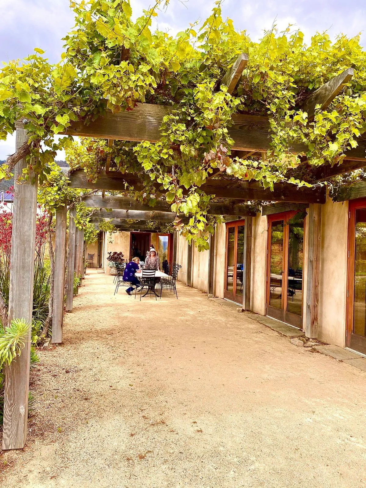 Tasmanian Wine and Cheese