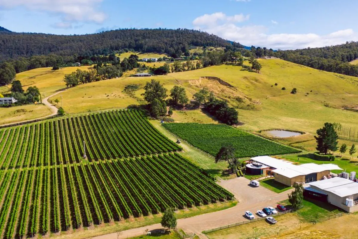 Tasmanian Winery