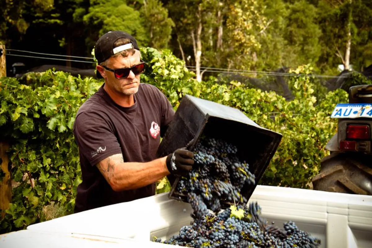 The Margaret River Wine Tour