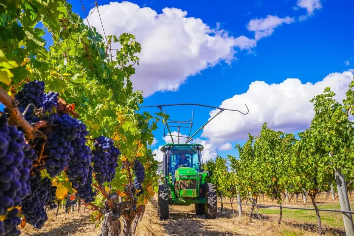 Margaret River Tour Group