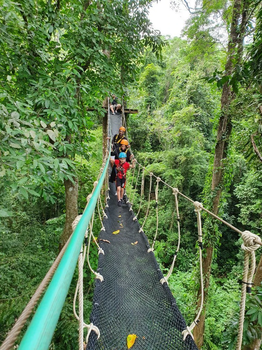 Zip-lining Adventure