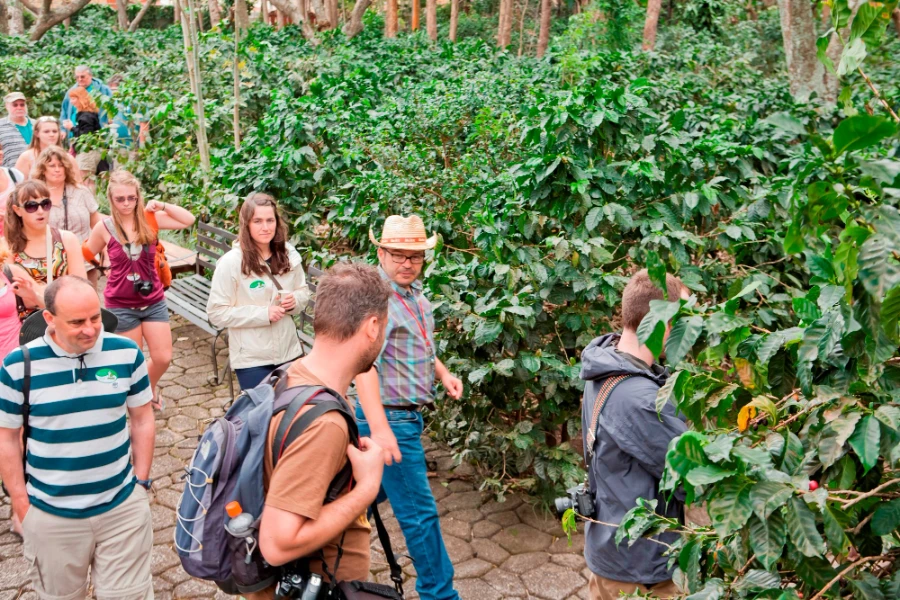 Britt Coffee Tour Tasting