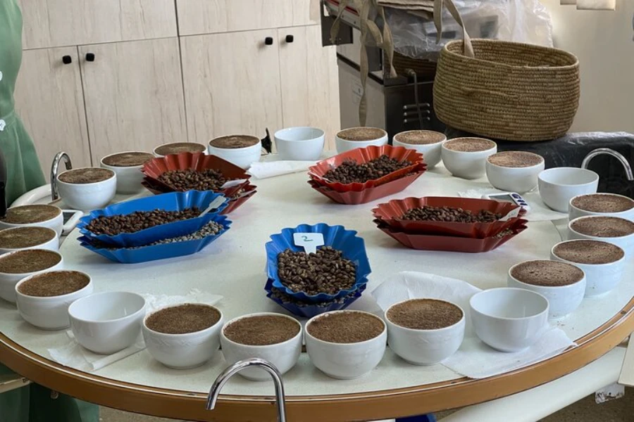 Coffee Cupping Addis Ababa