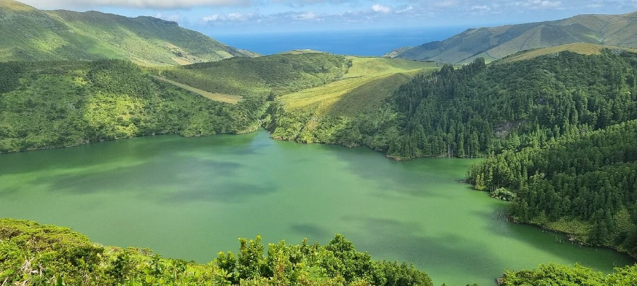 Complete Tour of Flores