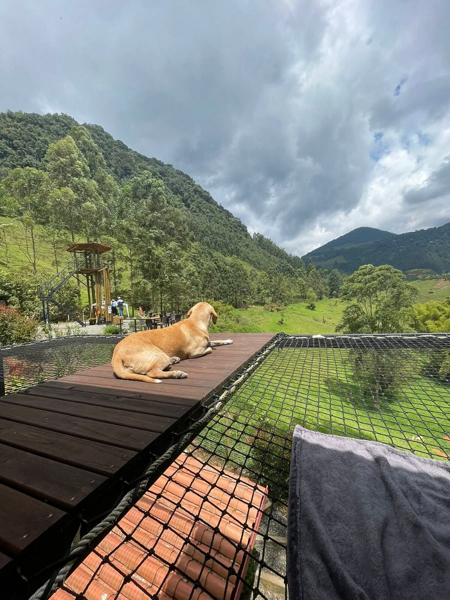 Gulupa Ecolodge Garden