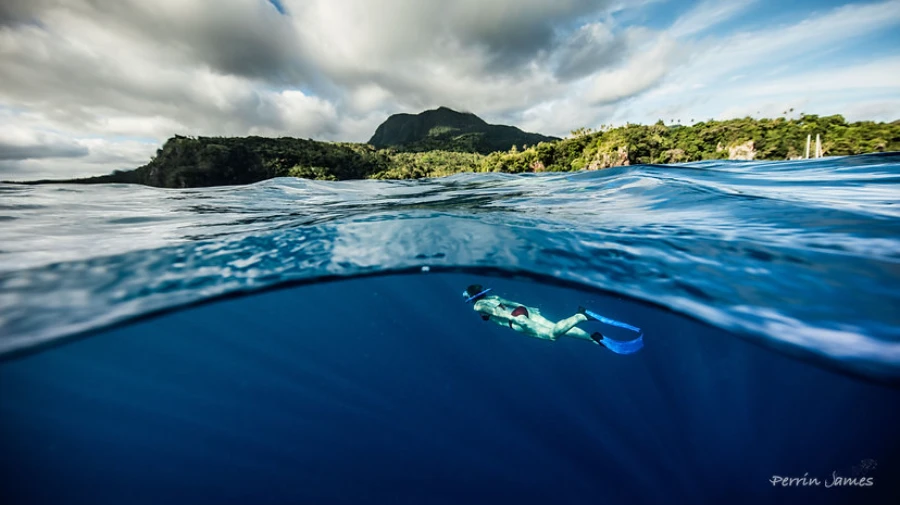 Papageno Resort & Dive