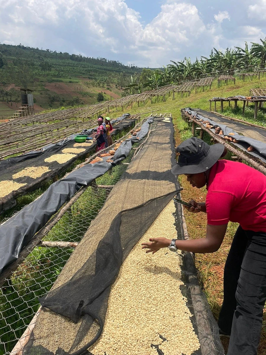 Women Led Coffee Farm Trek Rwanda
