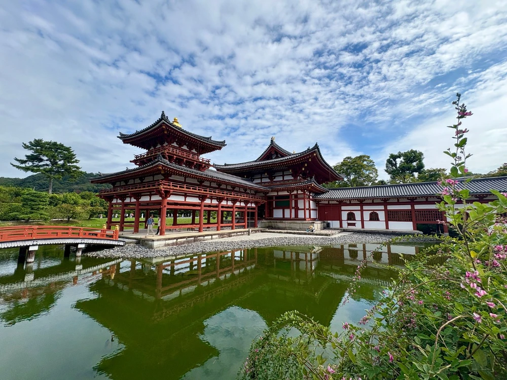 Uji Tea Fields Cycling