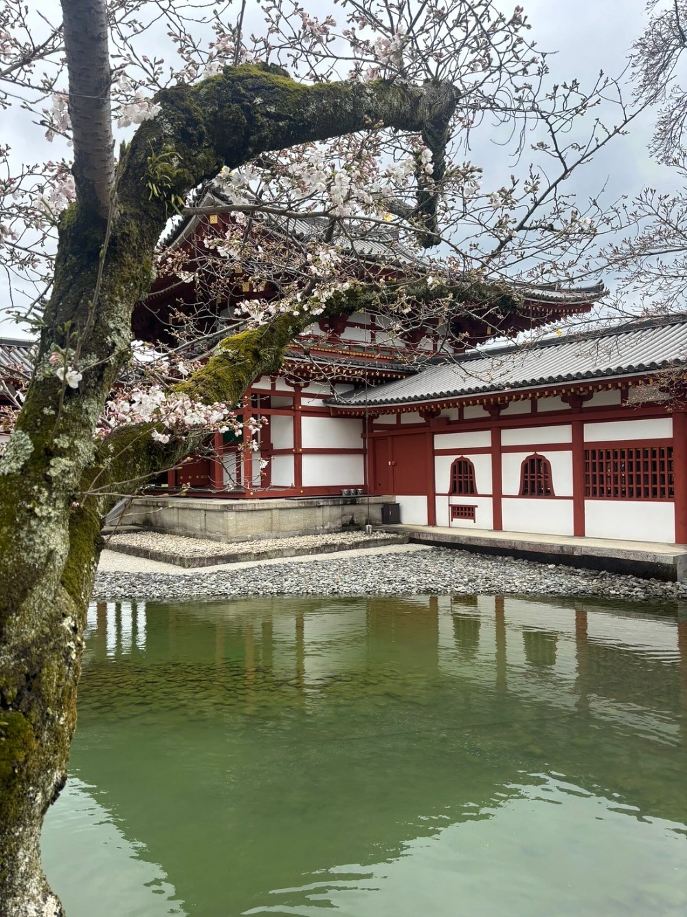Uji Byodoin Temple