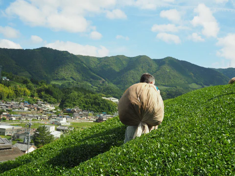 Kyoto: The Soul of Matcha
