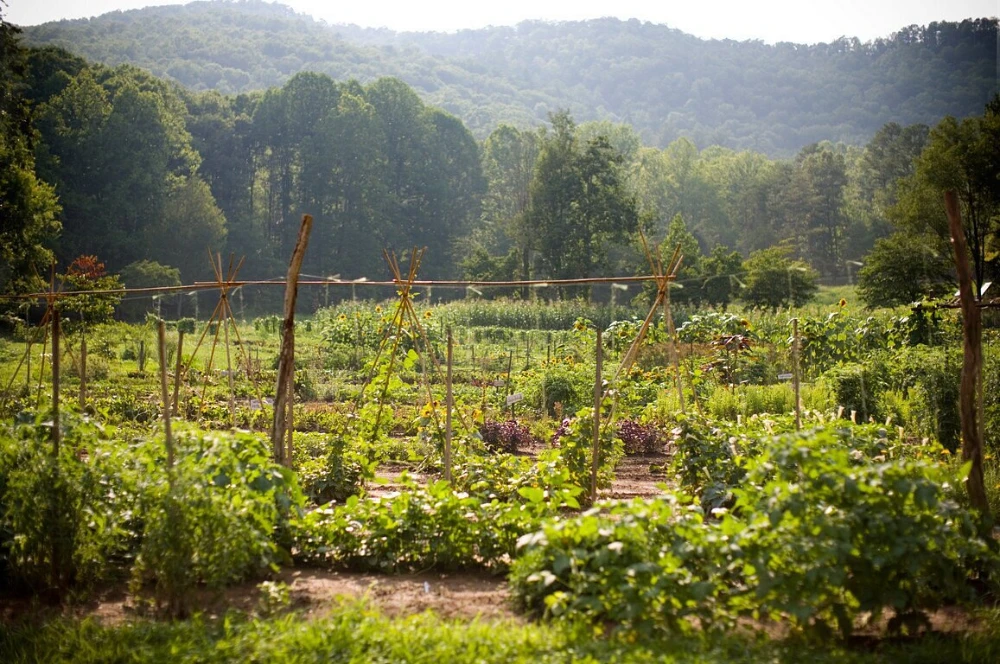 Blackberry Farm The Barn restaurant James Beard Award-winning Tennessee