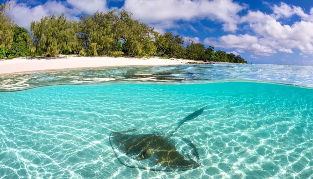 Heron Island Resort reef walk snorkel Great Barrier Reef Queensland