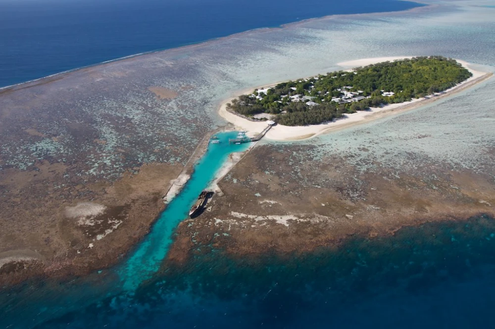 Heron Island Resort turtle nesting tour University of Queensland research